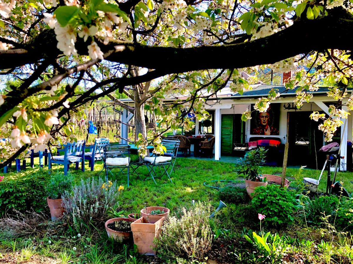 Bohemian Eco At Balaton *