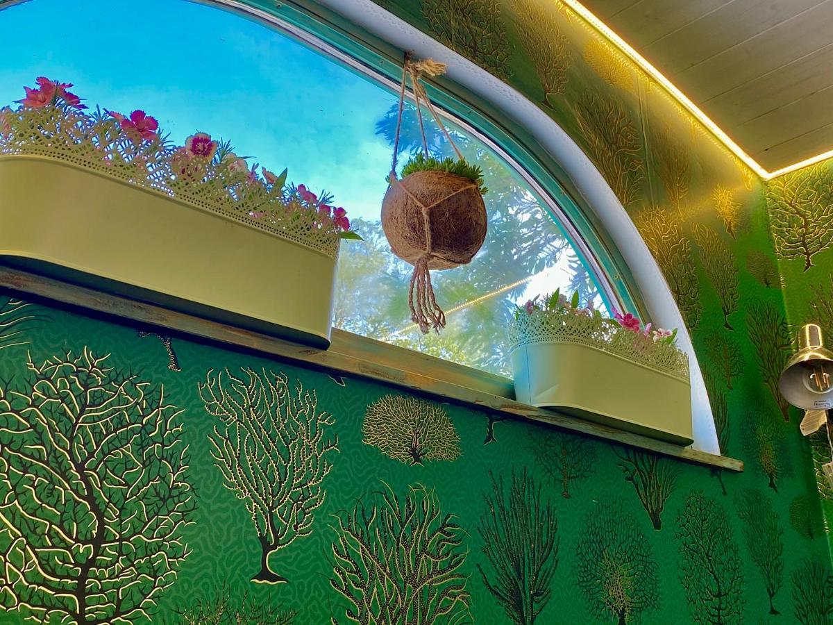 Apartmán Bohemian Eco At Balaton